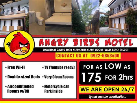 angry bird inn toril|Please come and .